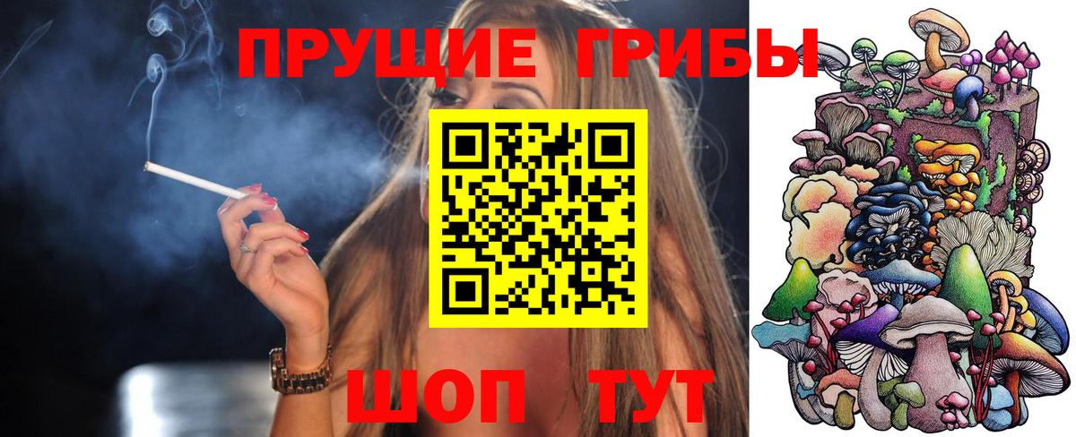 Галлюциногенные грибы прущие грибы Кандалакша