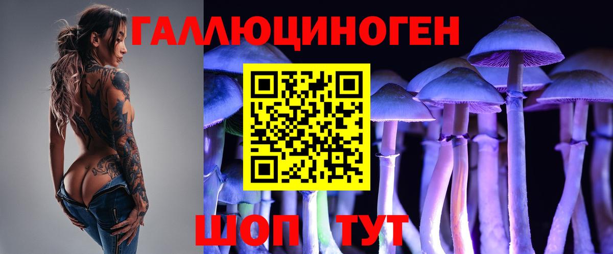 Галлюциногенные грибы прущие грибы  Вход с VPN  Кандалакша 